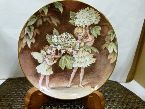 Border fine arts guelder - guelder, rose