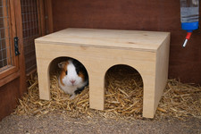 Wooden Guinea Pig Play House