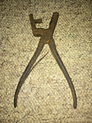 Old vintage livestock forged - vintage,