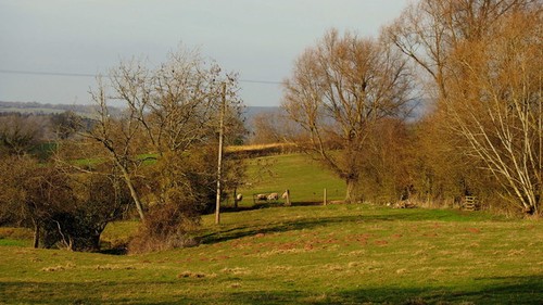Photo 6x4 pasture land - pasture, at