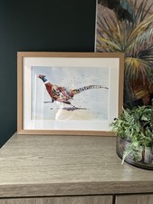 Jake Winkle - The Road Runner