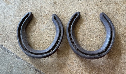 New real horse shoes - 2,
