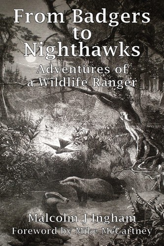 From badgers nighthawks - badgers, to