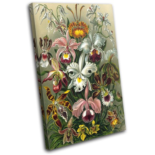 Botanical garden vintage retro - vintage,