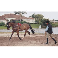 Pessoa lunging system - pessoa,