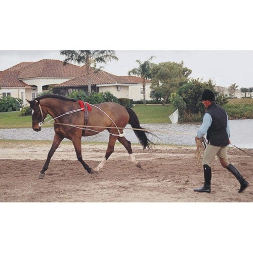 Pessoa lunging system - pessoa,