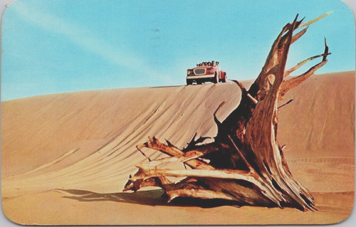 Mac wood dune scooters - dune,
