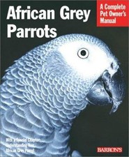 African grey parrots - grey,