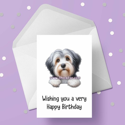Havanese dog birthday - dog, card