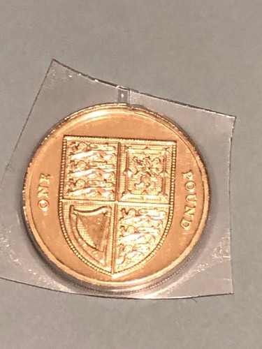 2008 old round one pound - £1,
