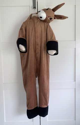 Ladybird donkey fancy - ladybird,