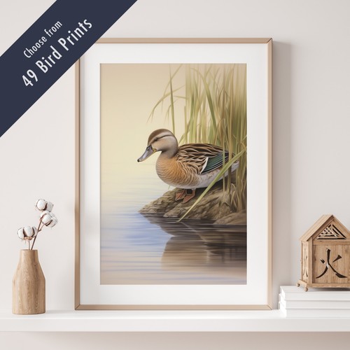 Wild bird print british - bird,
