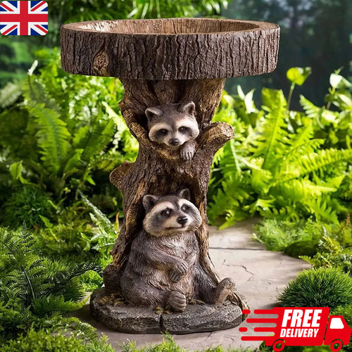 Bird bath feeder - bath, &
