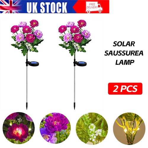 Pack snow lotus solar lights - pack,