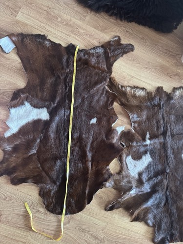 Goat skin rugs - goat, 2
