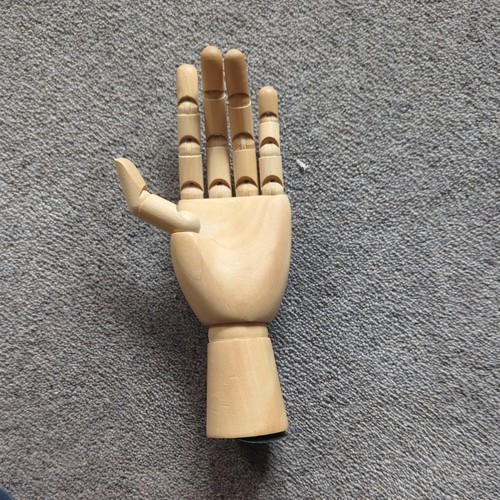 Hand manikin artist - x,