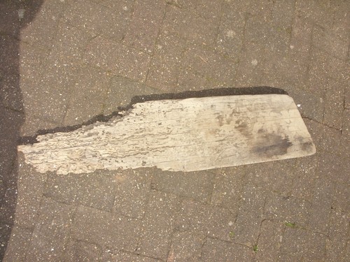 Large driftwood piece - large,