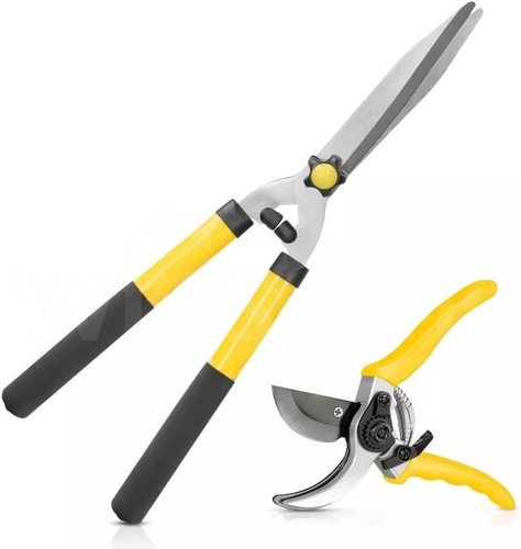 2pc garden hedge - hedge, carbon
