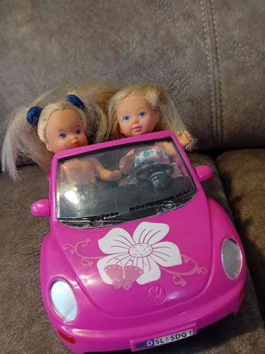 Simba pink beetle - simba,