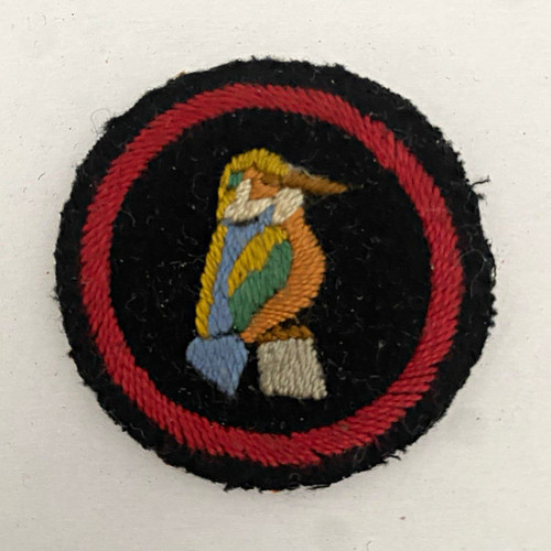 Girl guides kingfisher - uk,