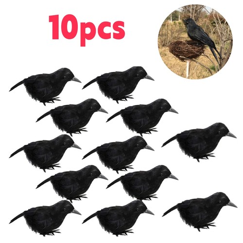 Realistic black crow - 10,