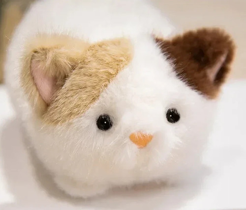 Ultra fluffy calico - calico, cat