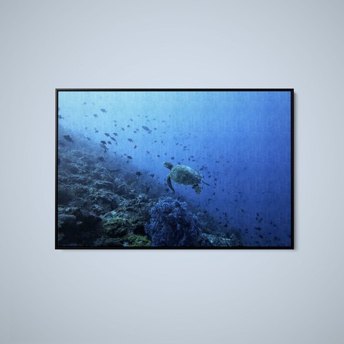 Artographie turtles in - artographie,
