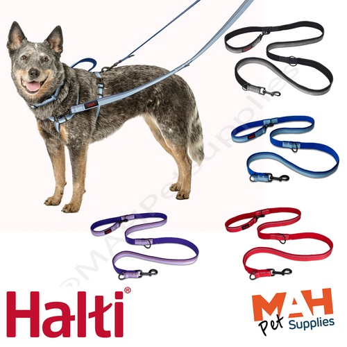Dog lead halti double ended - lead,