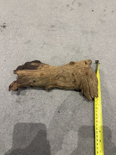 Natural driftwood for - , aquarium
