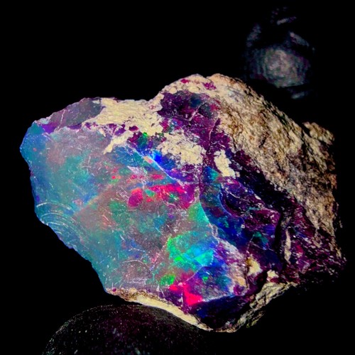 Dry opal ethiopian black - black, {opal