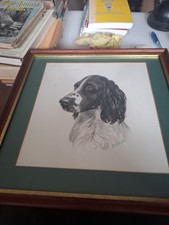 English Springer Spaniel Painting by Bill Walgh