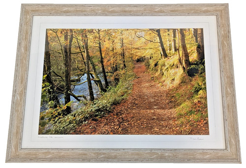 Trevor brown photography - trevor,