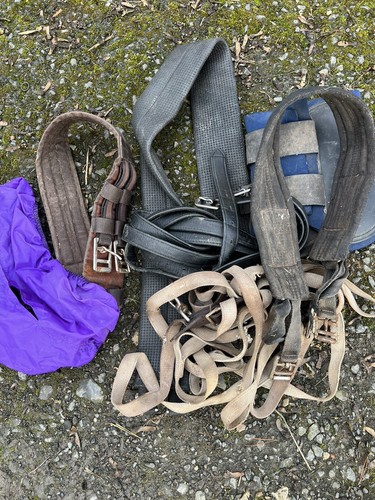 Job lot equestrian items - of,