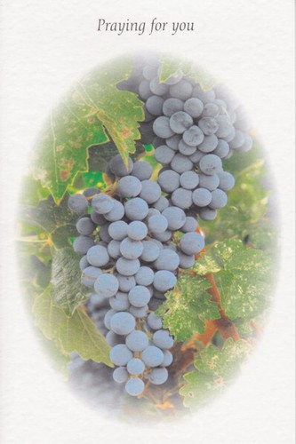 Vineyard scene praying for - praying,