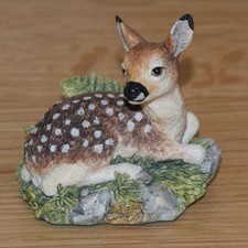 BORDER FINE ARTS - MORNING