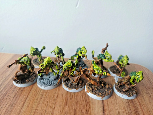 10x chameleon skinks well - chameleon,