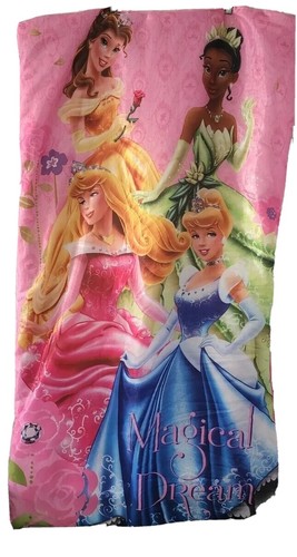 Disney princess magical dream