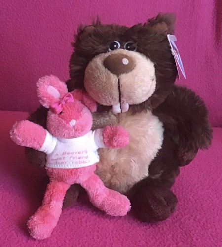 Carte blanche nice beaver - carte,
