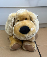 Morrisons long eared - long, dog