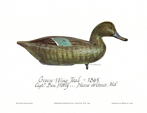 Green wing teal decoy - teal,