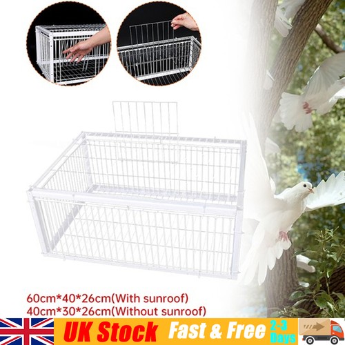 Pigeon trap cage door - 4,