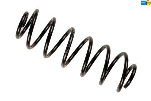 Rear coil spring - spring, 36-147717