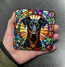 Stunning Dobermann Doberman