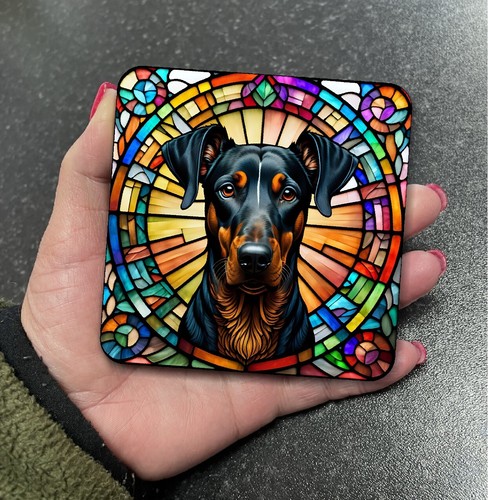 Stunning dobermann doberman - stunning,