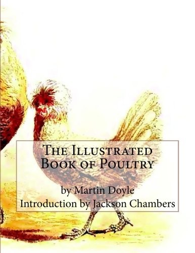 The illustrated book of - book,
