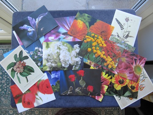 Postcards flowers - 25,