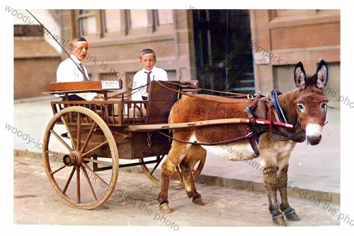 Col1041 taking ride in a - col1041,