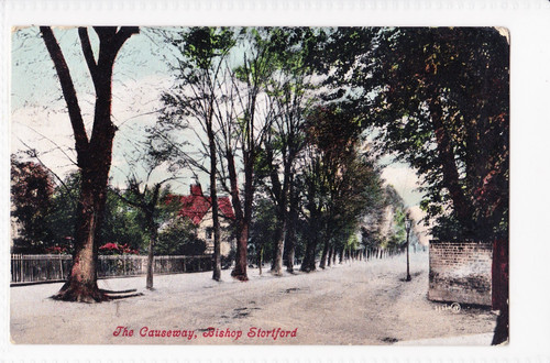 Bishop stortford the - -,