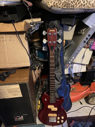 Arbor bass guitar - bass,