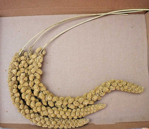 Quality bushy millets sprays - quality,
